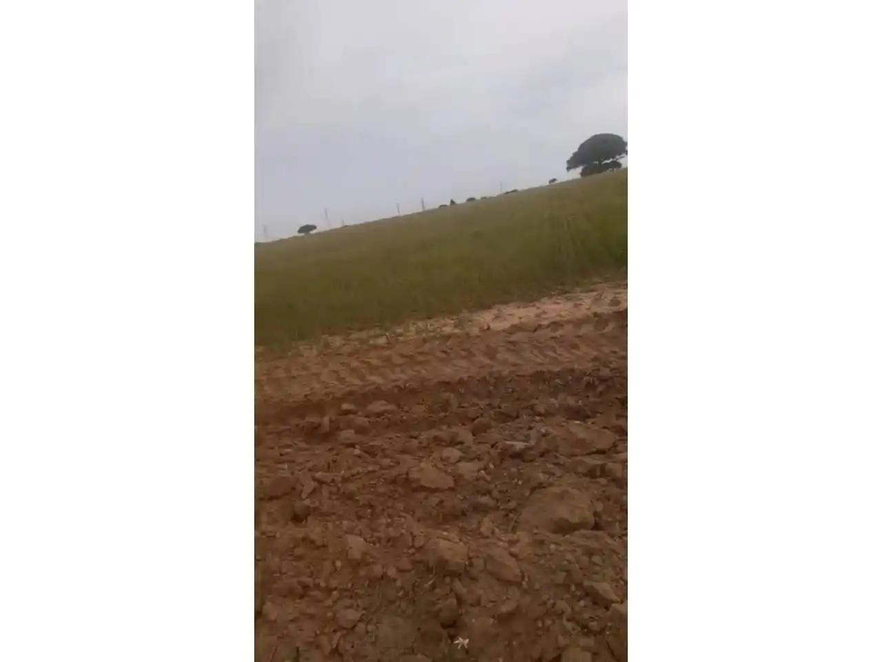 Grundstücke zur Miete in Puerto Real