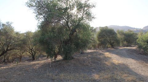 Foto 4 de Terreny en venda a Álora, Málaga