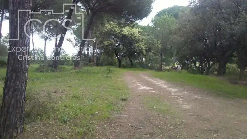 Casa rústica en venda a Almonte ciudad, imagen 11