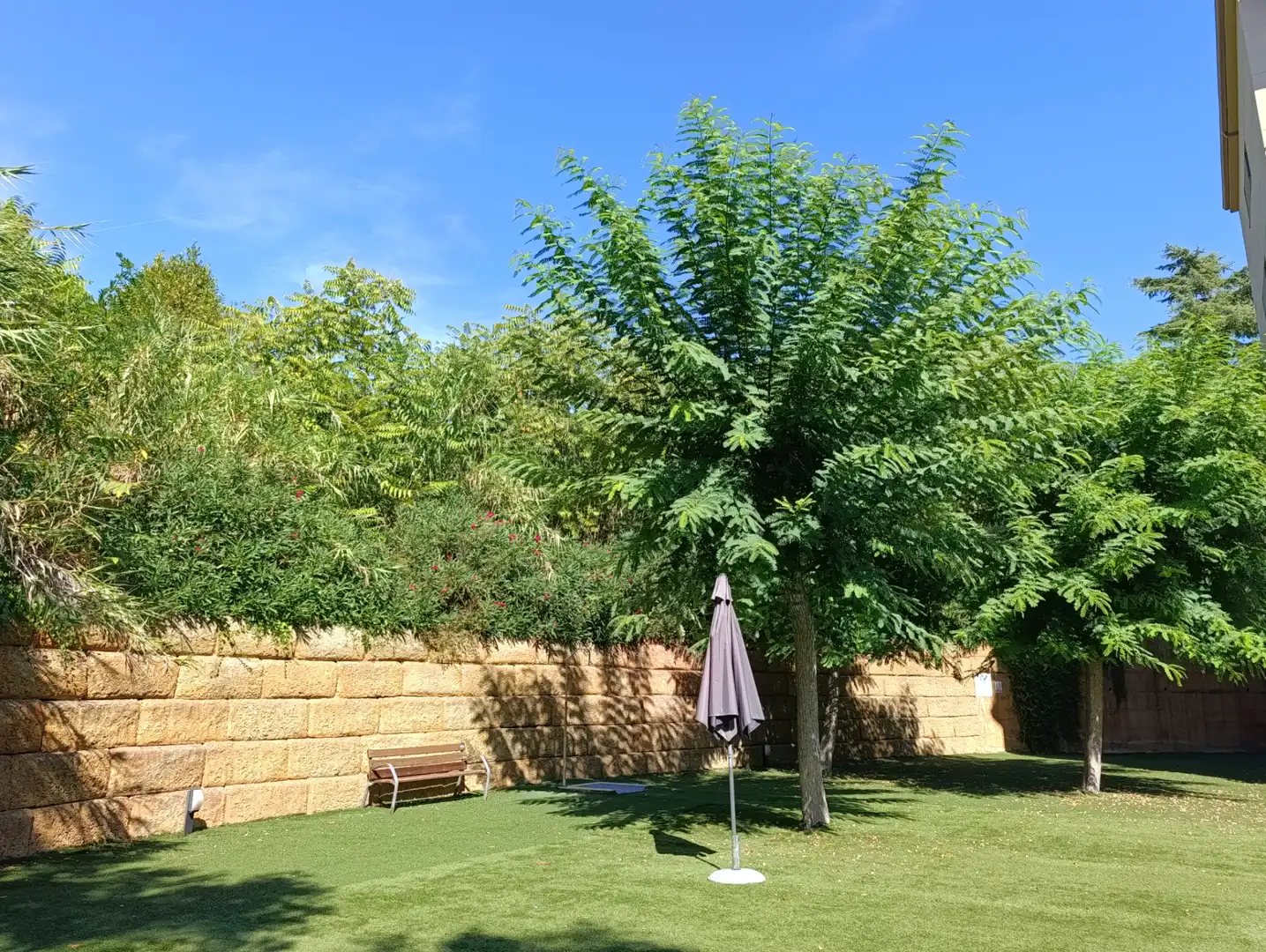Jardí de Pis en venda en Arenys de Mar amb Aire condicionat, Calefacció i Forn
