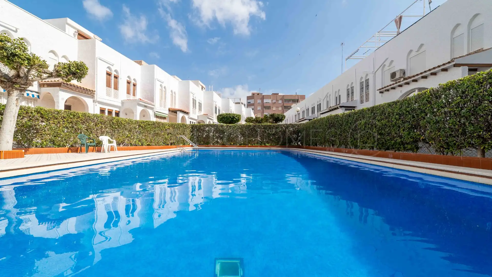 Swimming pool of Detached homes for sale in Torrevieja  with Terrace, Furnished and Oven