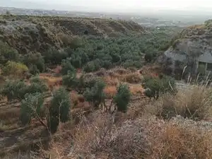 Terreno rustico in vendita a Calle General Q de Llano 34, imagen 6