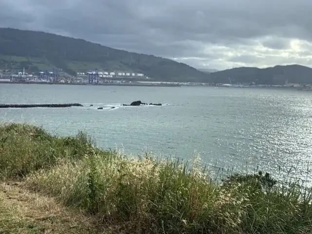 Vista exterior de Pis de lloguer en Getxo  amb Calefacció, Forn i Rentadora