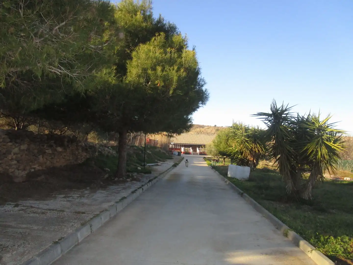 Casa rústica amb piscina en venda a Pasaje los Albaladejos, imagen 38