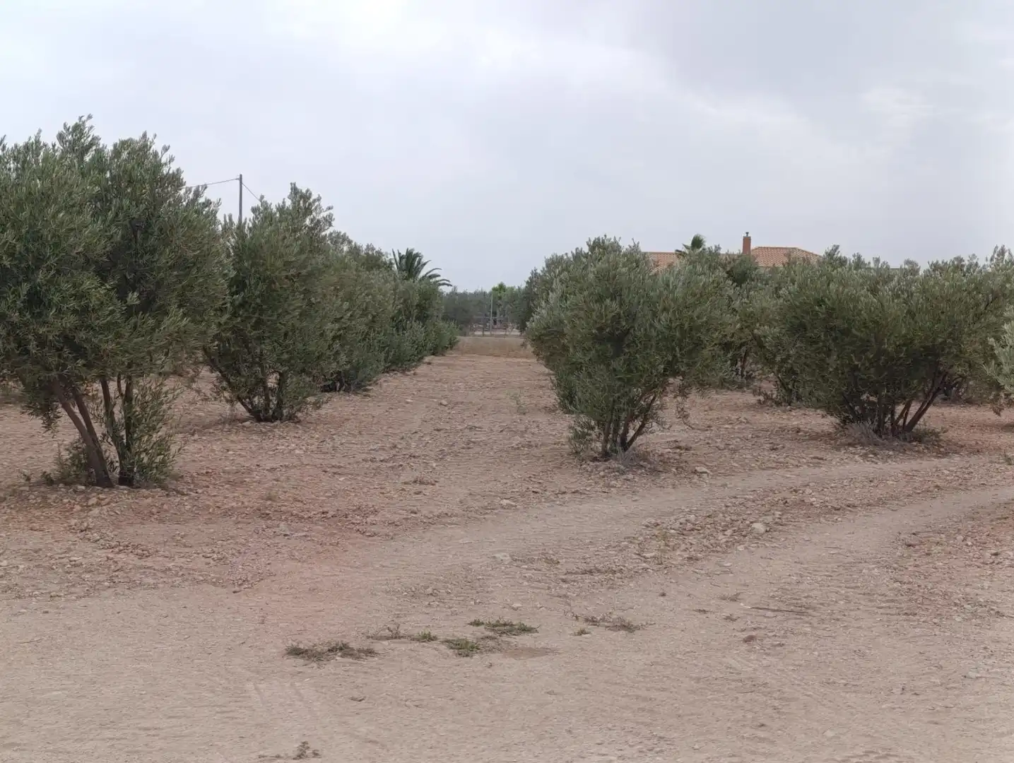 Xalet en venda a Abanilla, imagen 18