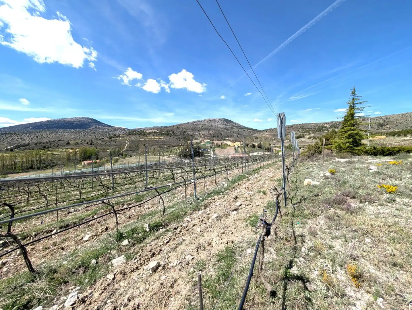 Local en venta en Moratalla con Amueblado