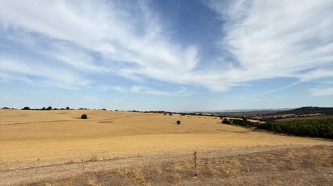 🌳 FINCA RÚSTICA Y COTO DE CAZA EN VENTA, immagine 5