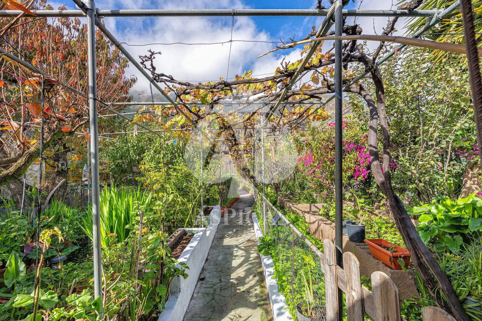 Casa rústica amb jardí en venda a Calle Los Parrales 12, imagen 23