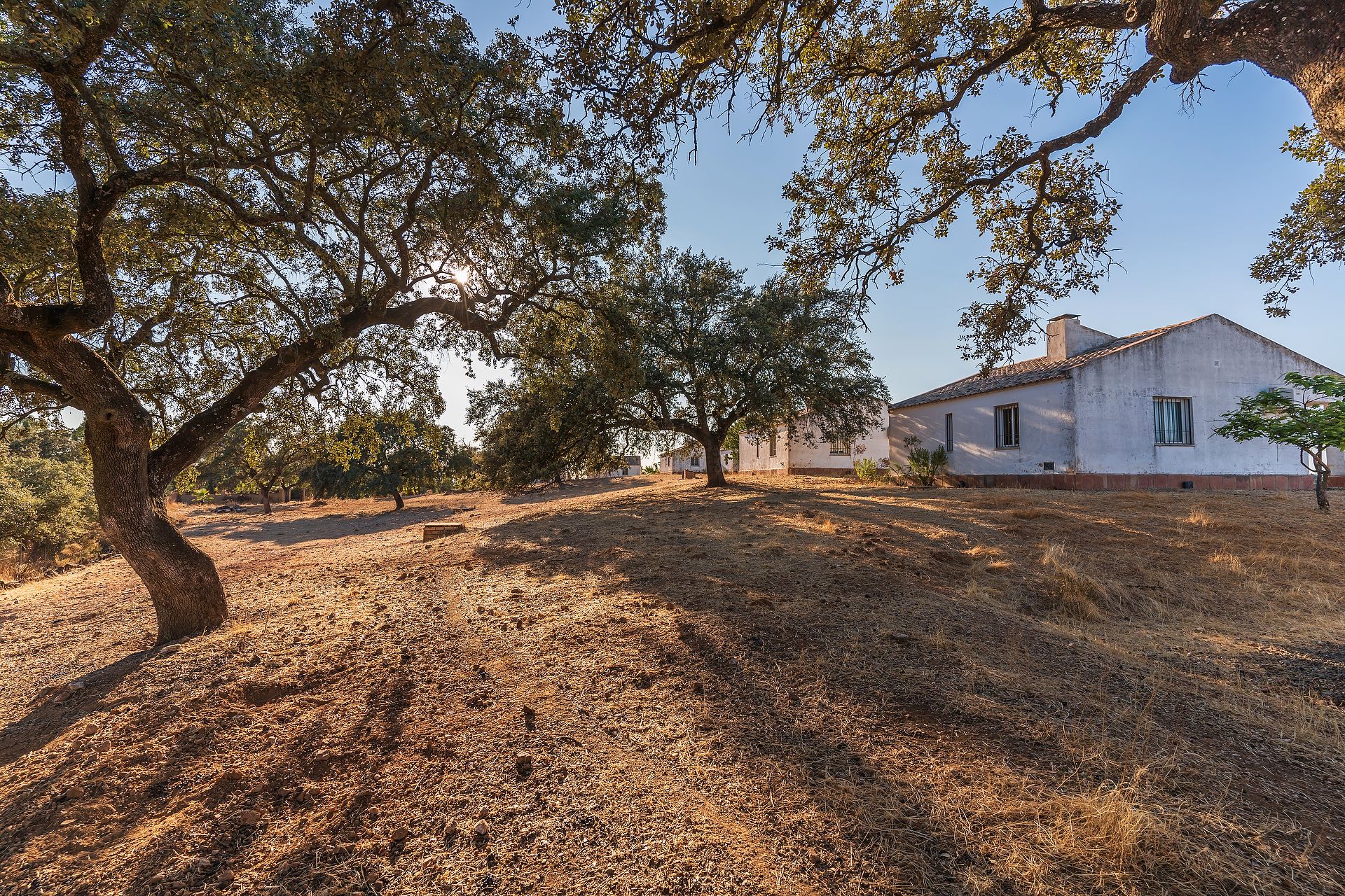 Grundstücke zum Verkauf in N/A, -1, Calañas