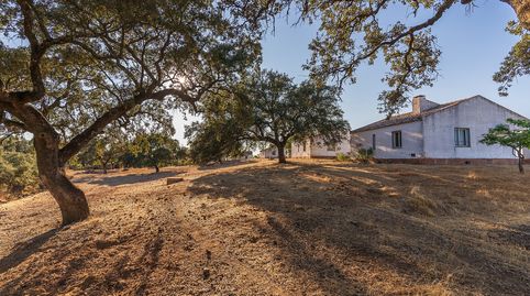 Foto 3 von Grundstücke zum Verkauf in N/a, -1, Calañas, Huelva