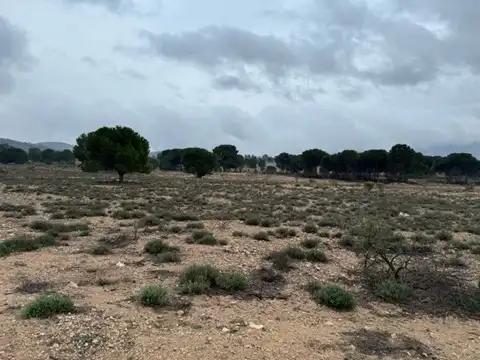 Wohnbaugrundstück zum Verkauf in Avenida Villena, imagen 8