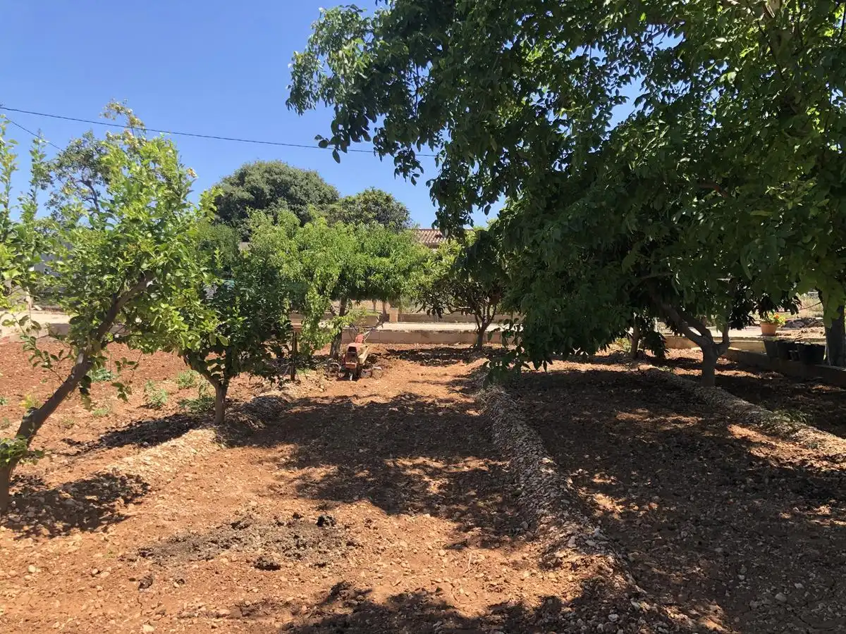 Maison rustique à vendre à Ondara, imagen 19