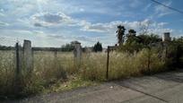 Land for sale in Utrera