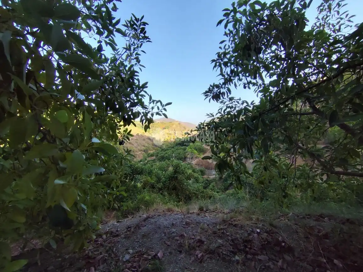 Terreno rustico in vendita a Los Guájares, imagen 10