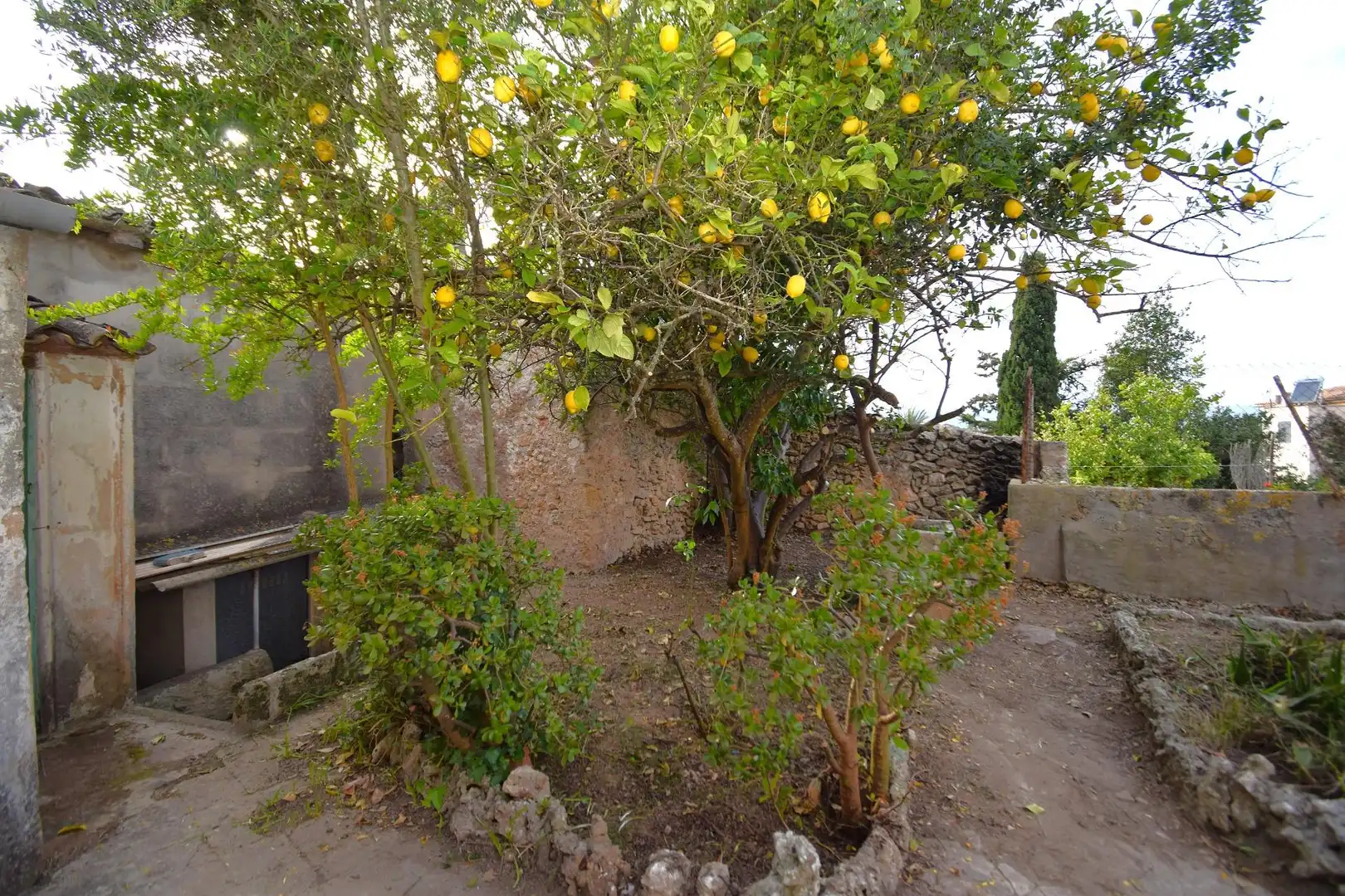 Garten von Haus oder Chalet zum Verkauf in Llubí mit Privatgarten