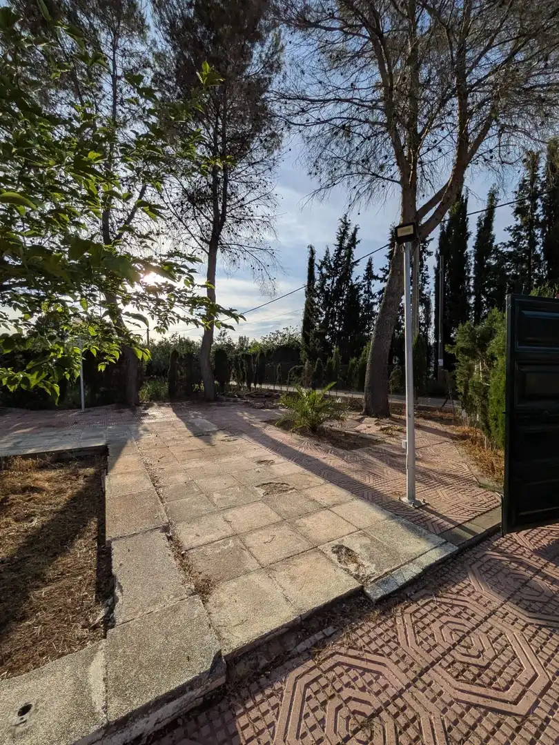 Vista exterior de Finca rústica en venta en Miguelturra con Aire acondicionado, Calefacción y Jardín privado