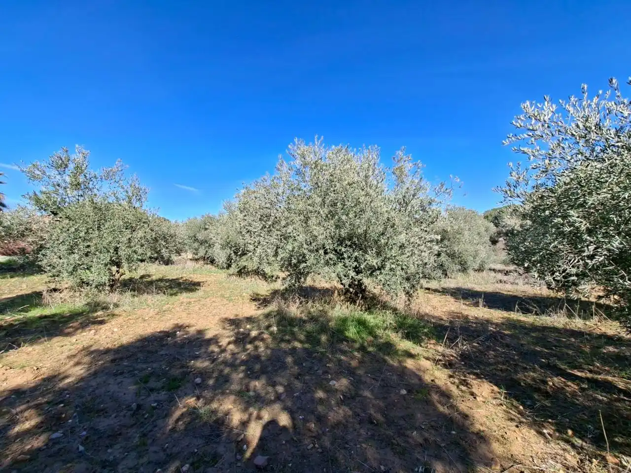 Lands and plots for sale in Calle Río Tajuña 1676, imagen 26