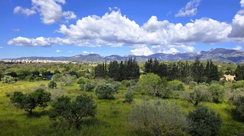 Finca Rustica en Inca., image 3