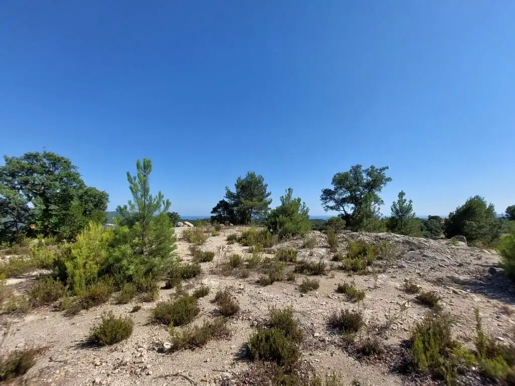 Residencial en venda a Carrer Illa, 5, Lloret Residencial - Montlloret