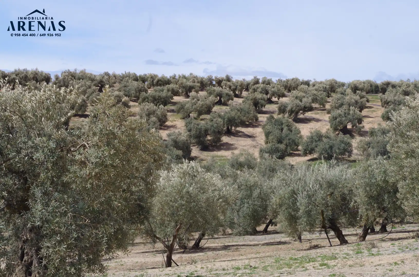 Residential land for sale in Íllora, imagen 3