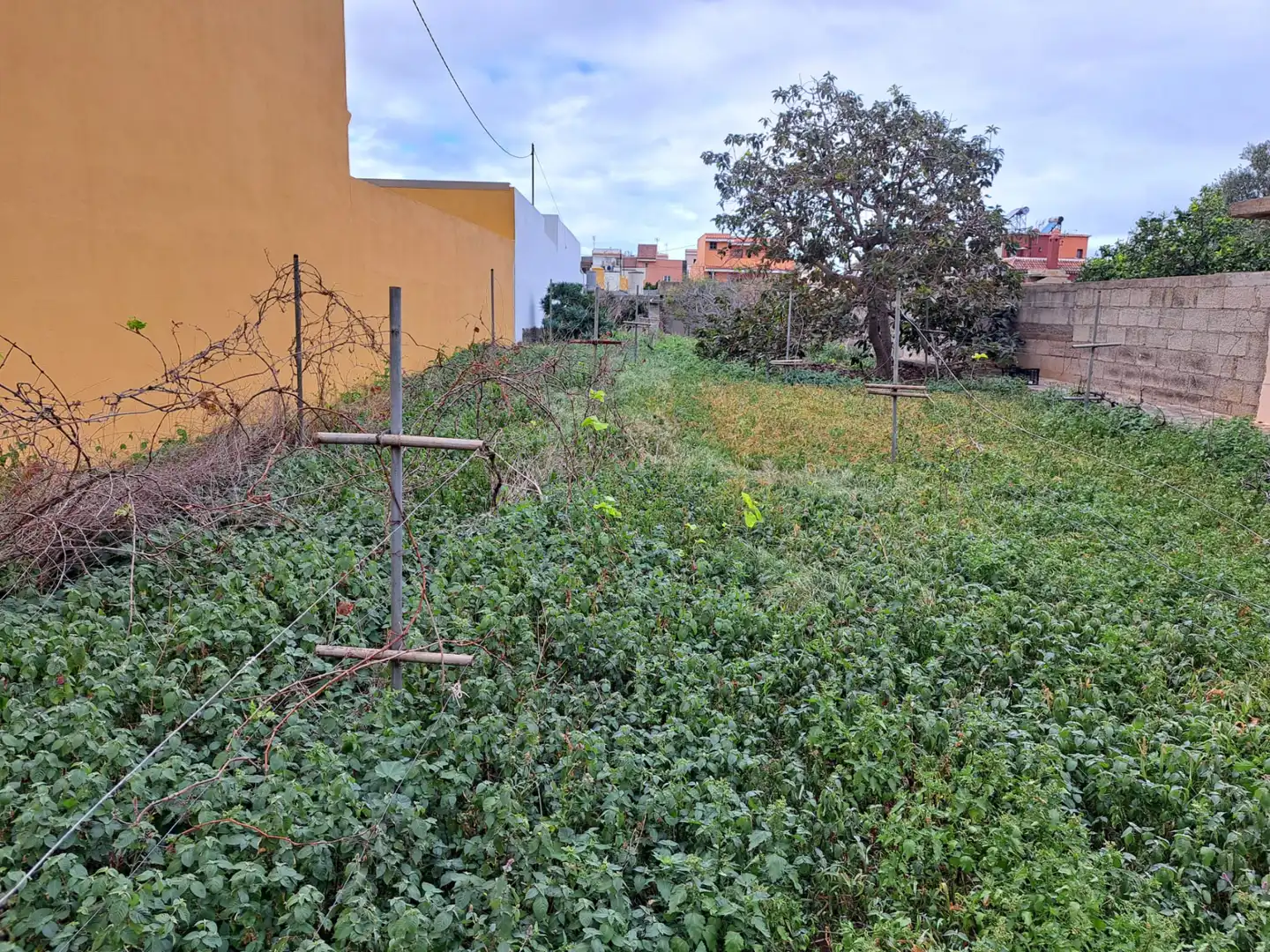 Residential land for sale in Tejina, imagen 17