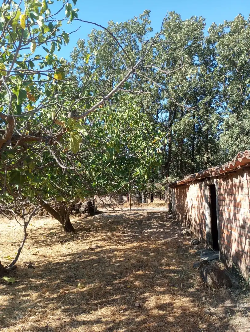 Terreni e lotti in vendita a Candeleda, imagen 2