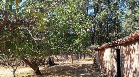 TERRENO EN CANDELEDA, immagine 2