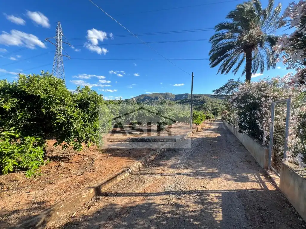 Vista exterior de Terreno en venta en Alzira