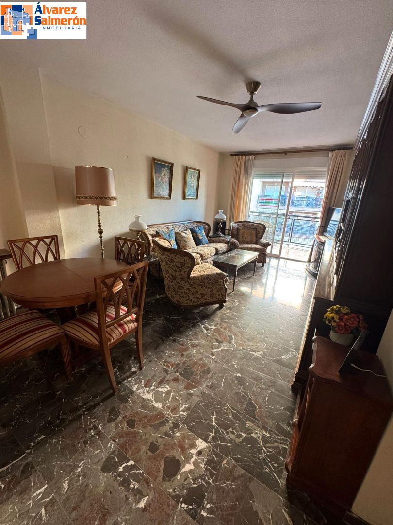 Living room of Flat to rent in  Granada Capital  with Heating, Terrace and Furnished