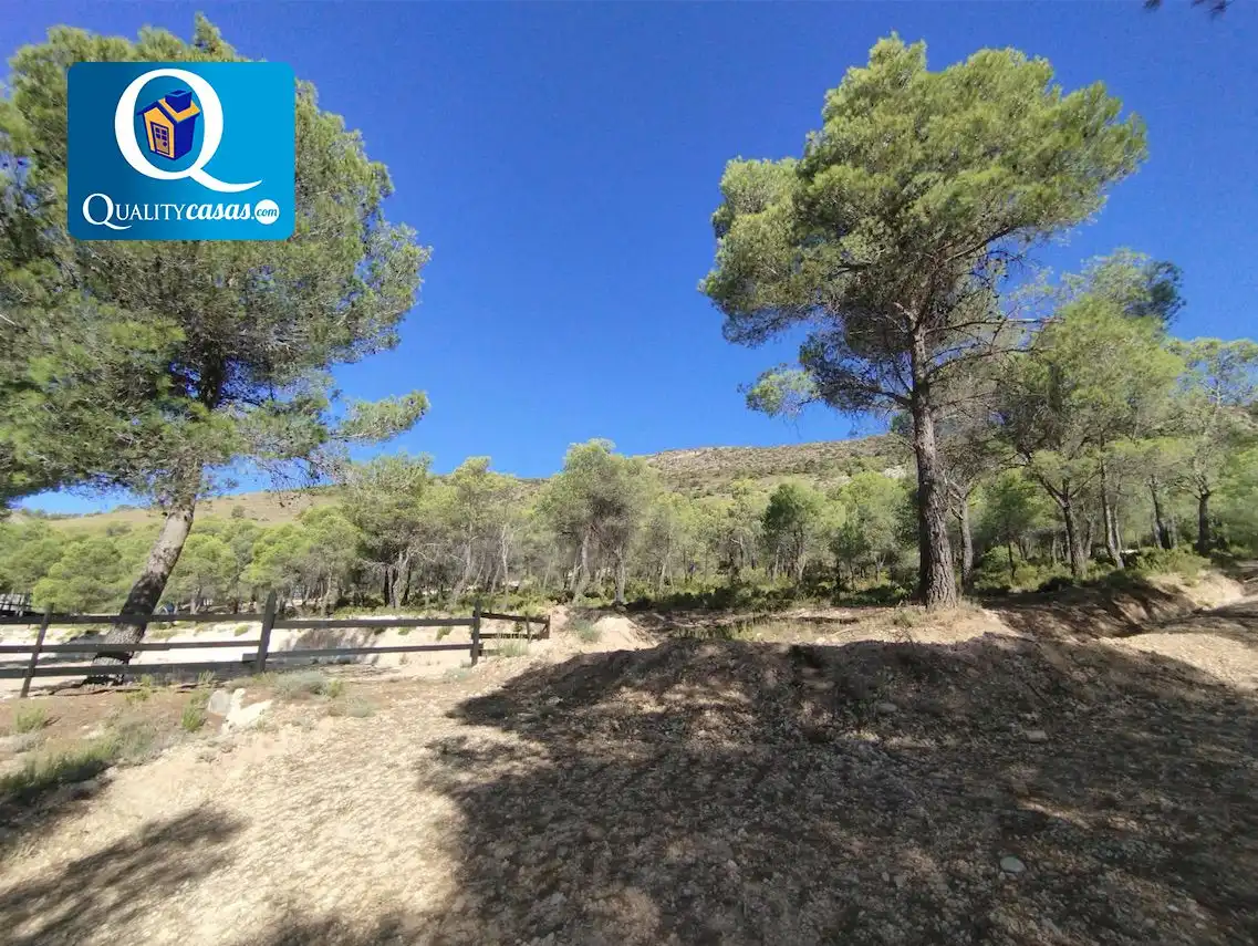 Terrenys i solars en venda a Onil, imagen 10