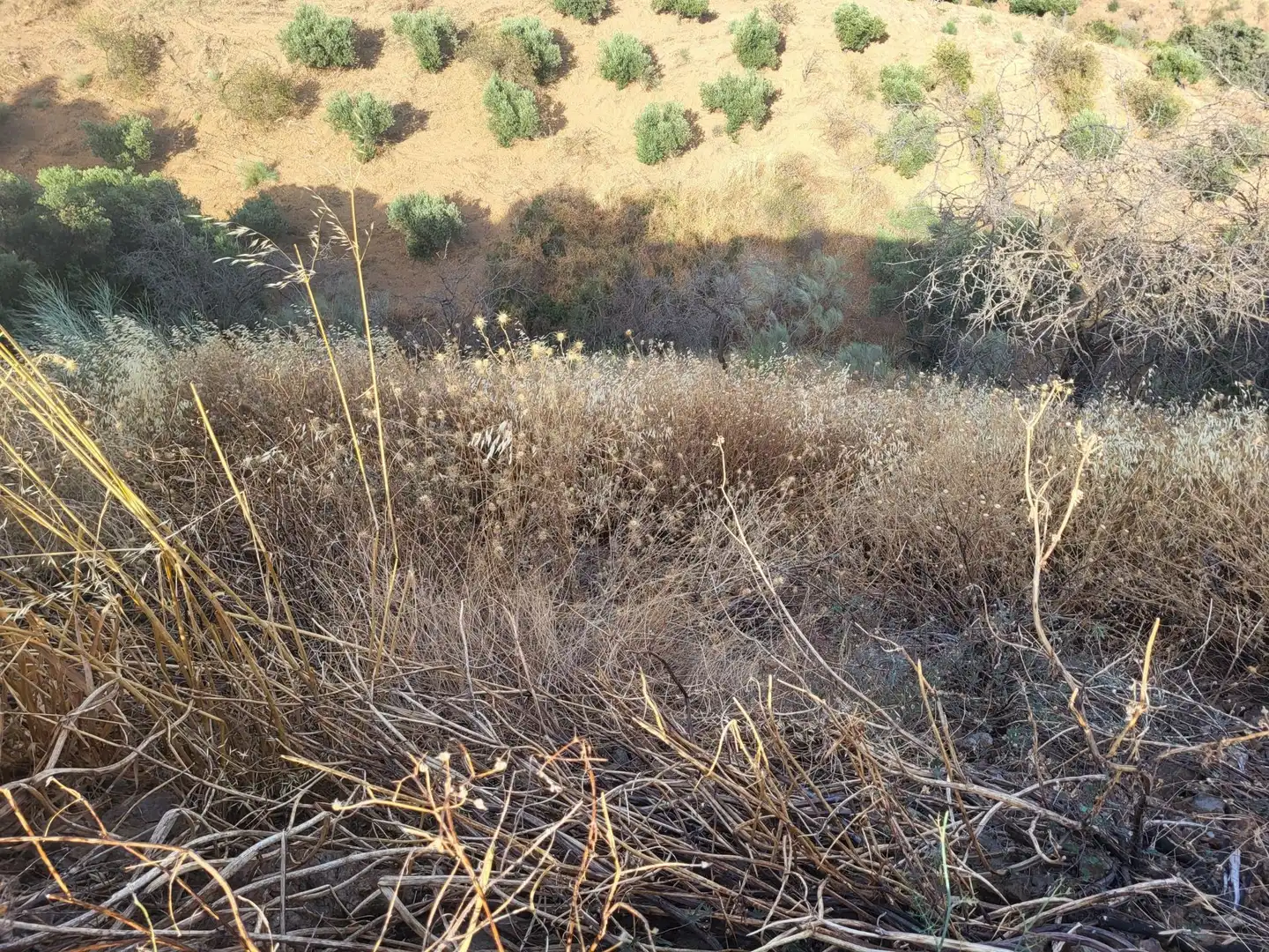 Terrenys i solars en venda a Campanillas, imagen 9