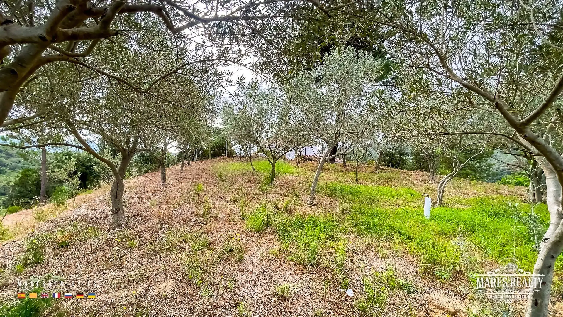 Casa con piscina en venta en Lloret Blau - La Creu de Lloret, imagen 48