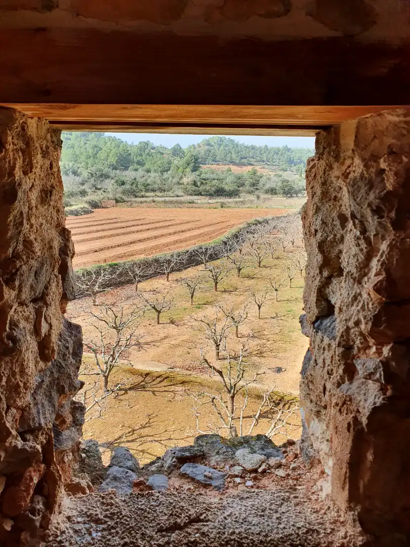 Terreno rustico in vendita a Segorbe, imagen 8