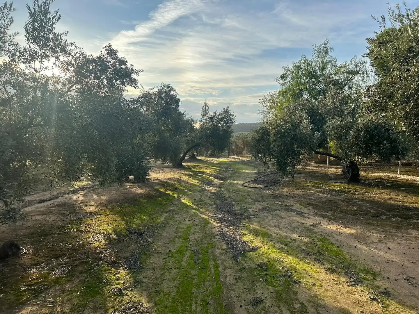 Grundstücke zum Verkauf in Andújar