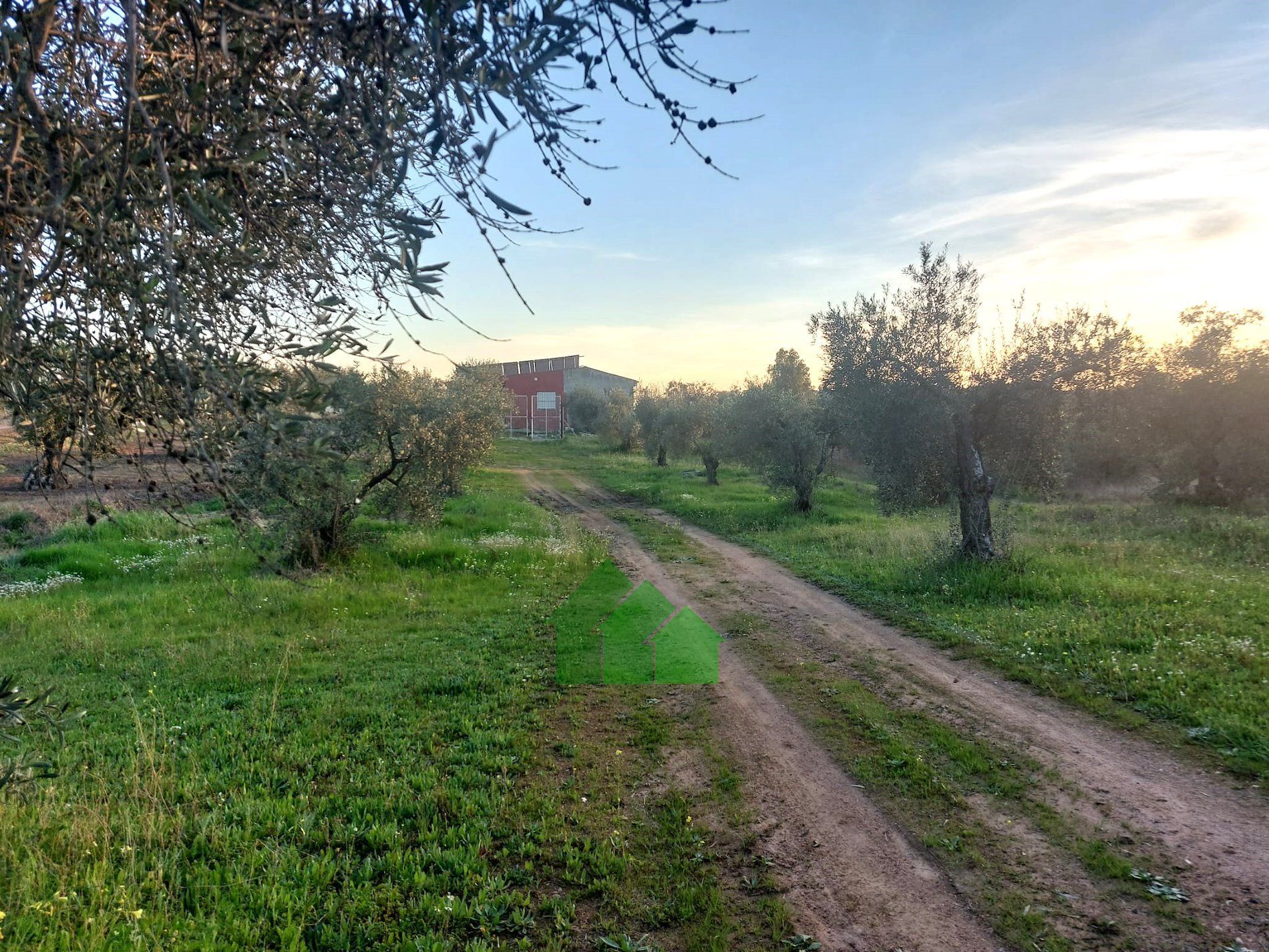 Houses for sale in Montijo  with Air Conditioner, Swimming Pool and TV