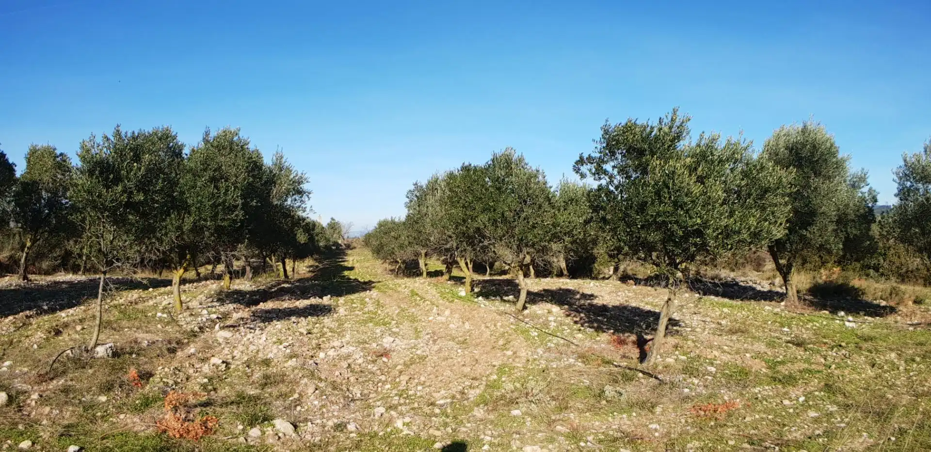 Finca rústica en venta en El Perelló con Jardín privado, Terraza y Trastero