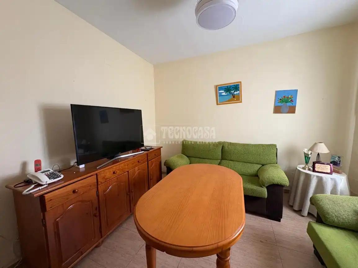 Living room of Detached homes for sale in Chiclana de la Frontera  with Furnished