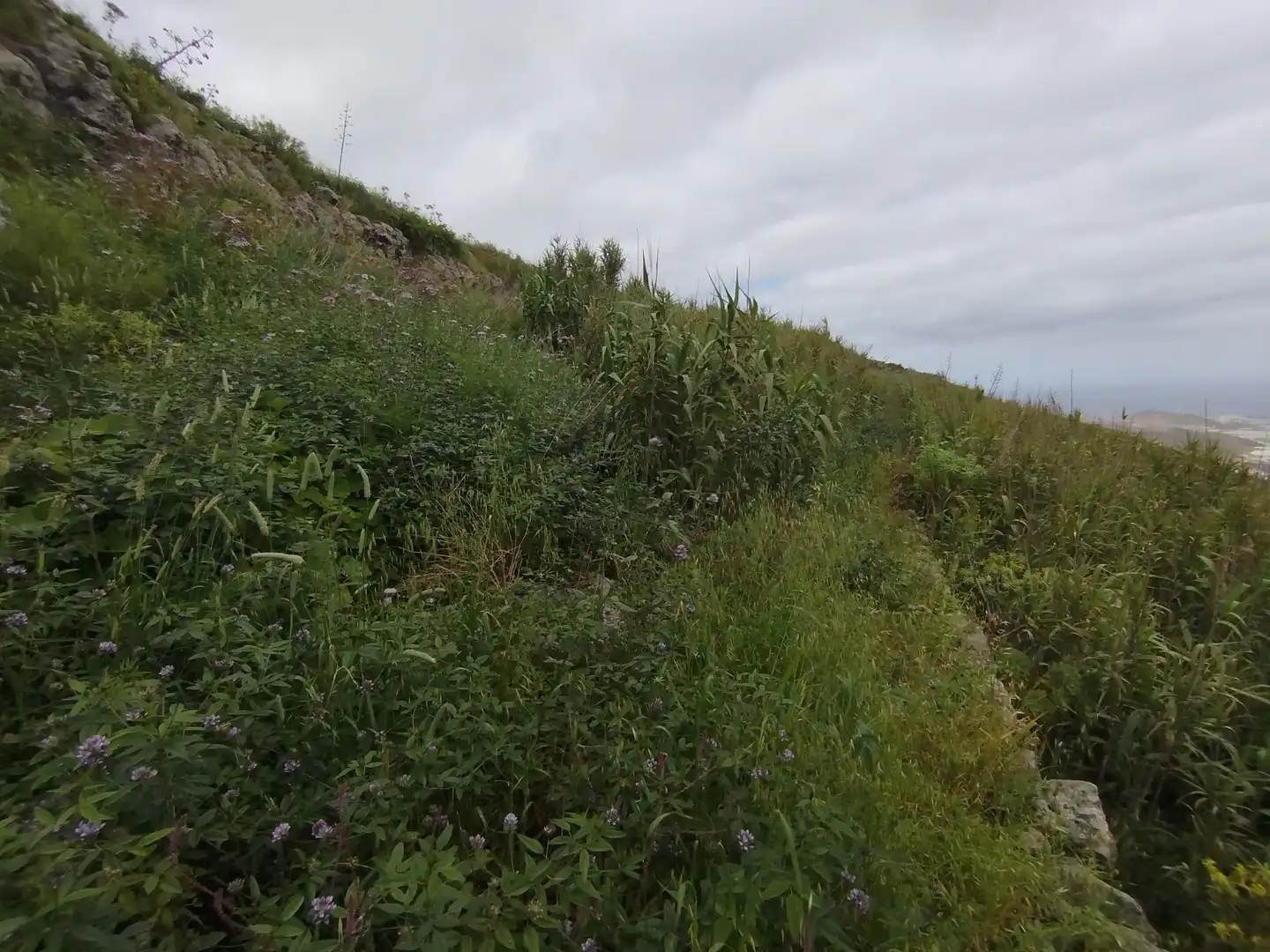 Terrain rustique à vendre à Calle Melian 6, imagen 25