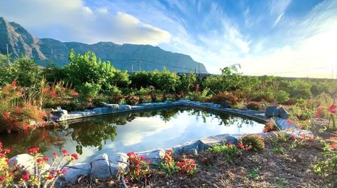 Foto 4 de Finca rústica en venta en Buenavista del Norte, Santa Cruz de Tenerife
