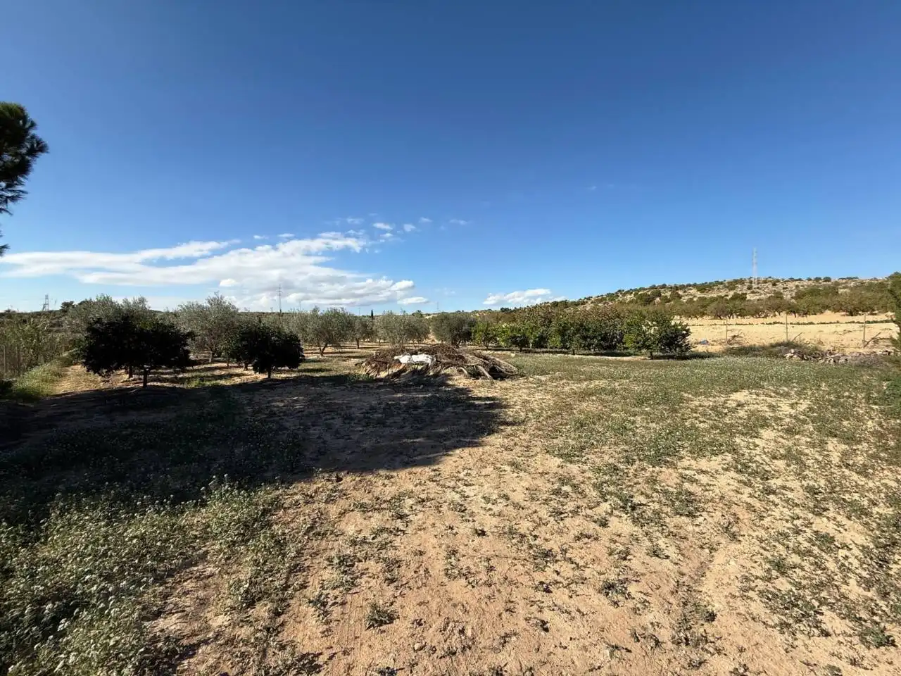 Finca rústica en venta en Elche / Elx con Terraza y Amueblado