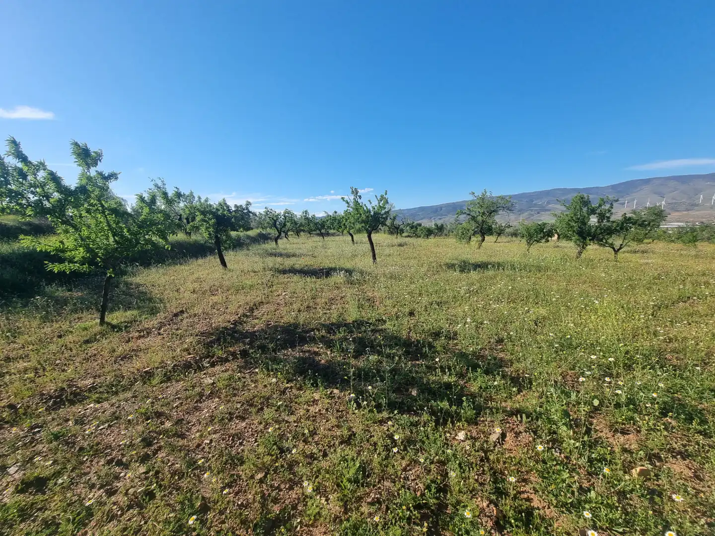 Terreno en venta en Abrucena