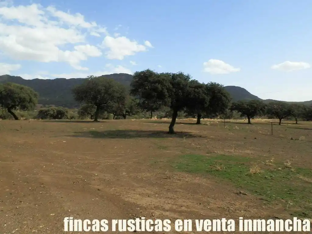 Terreni e lotti in vendita a Peñalsordo, imagen 22