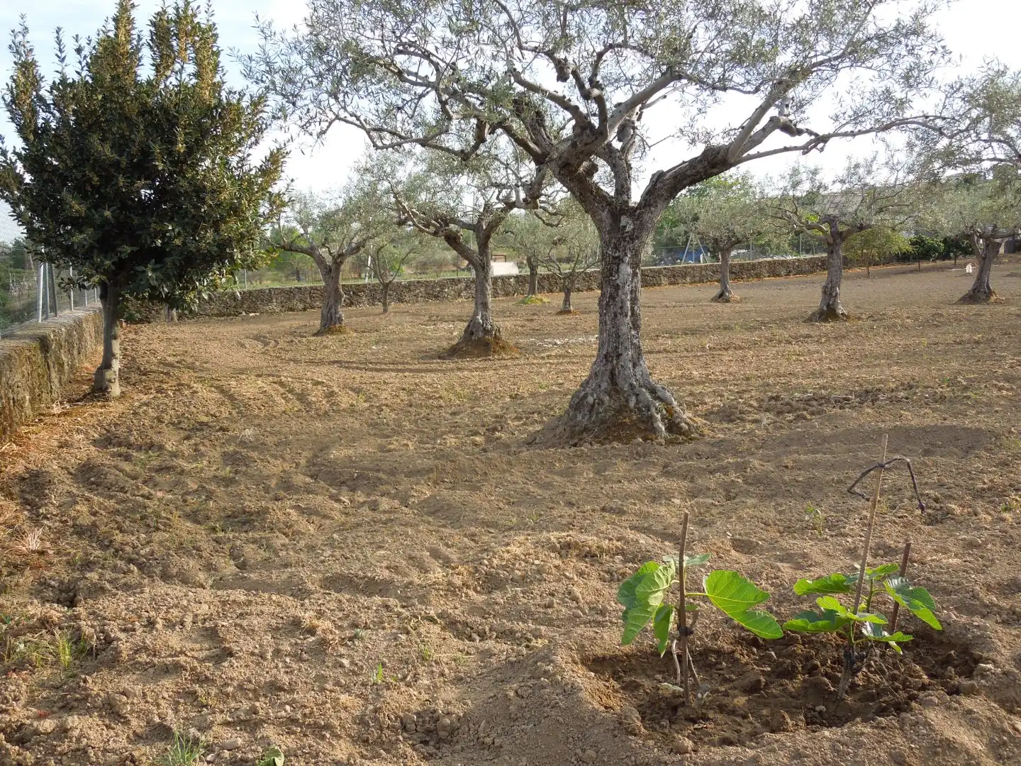 Terreno en venta en Malpartida de Plasencia