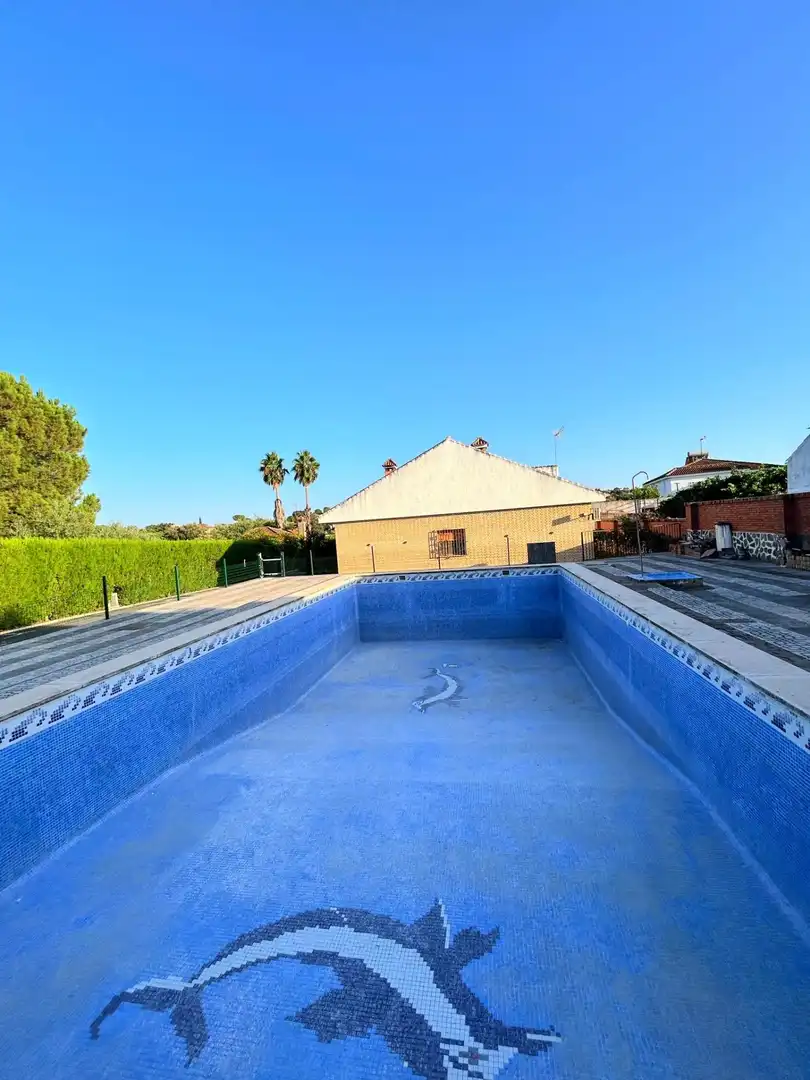 Chalet con piscina en venta en Castilblanco de los Arroyos, imagen 39