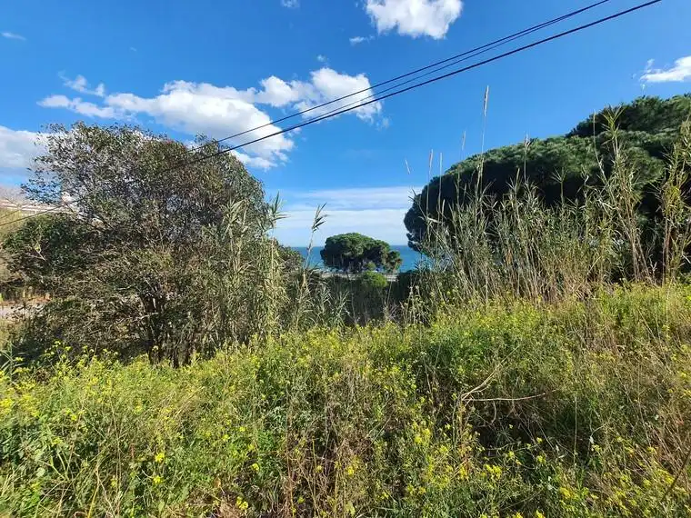 Buildings for sale in Calella