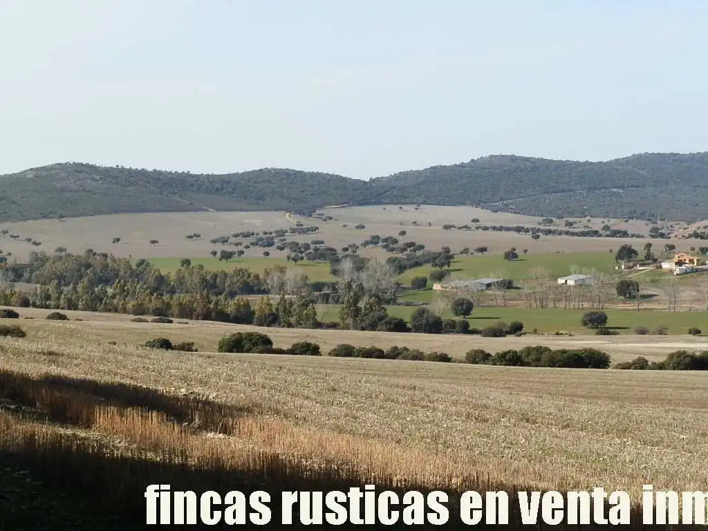 Terreny rústic en venda a Puebla de Don Rodrigo, imagen 17