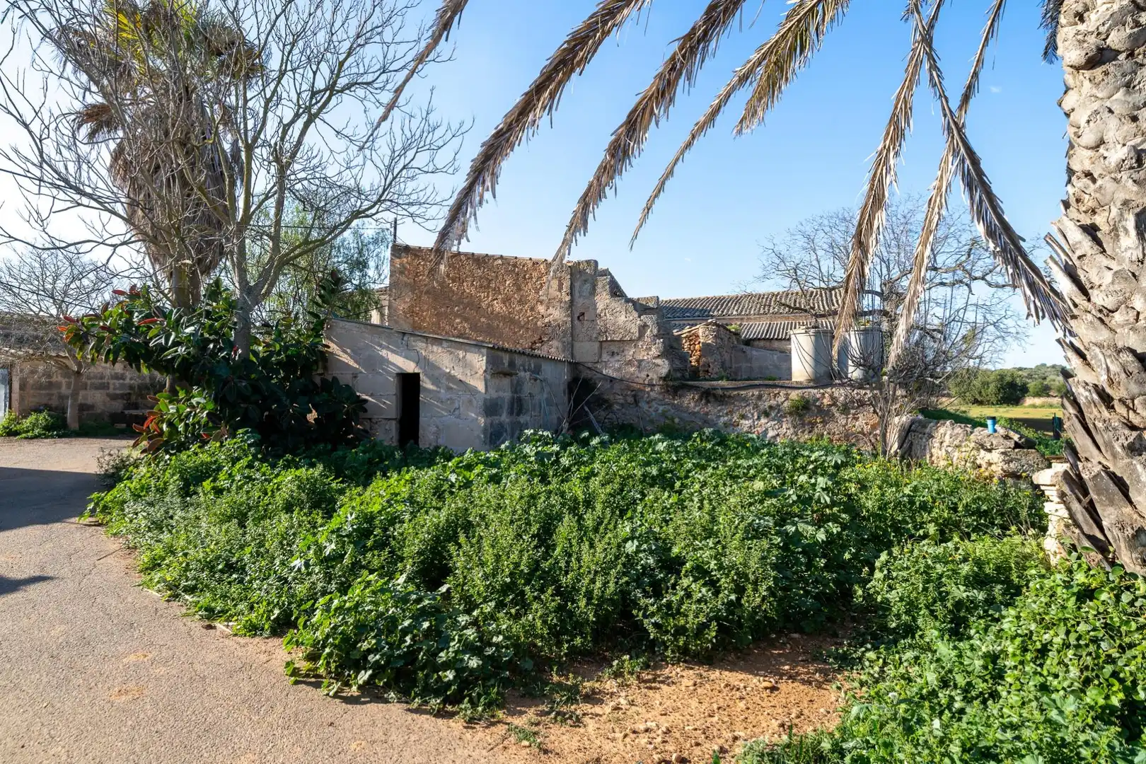 Maison rustique avec terrasse à vendre à DISEMINADOS VAR, imagen 43