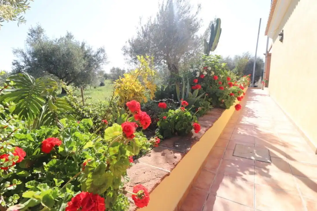 Garden of Houses for rent in Coín  with Private garden, Terrace and Swimming Pool