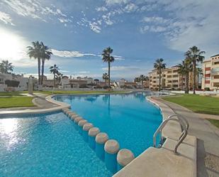 Piscina de Àtic de lloguer en Orihuela amb Piscina