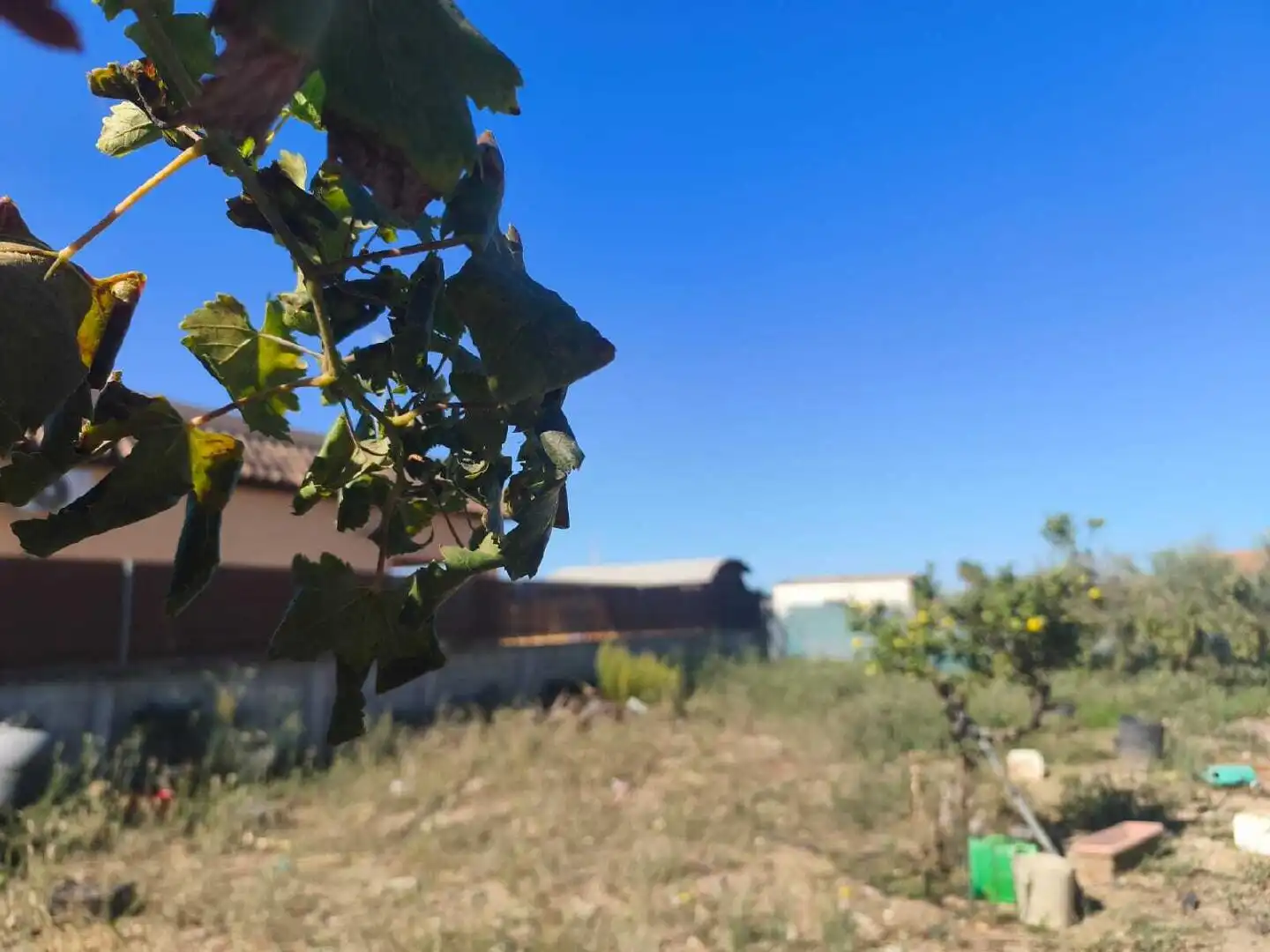 Grundstücke und Bauplätze zum Verkauf in Chipiona Norte, imagen 6
